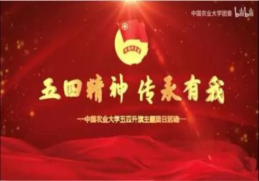 关于五四的演讲稿300字8篇