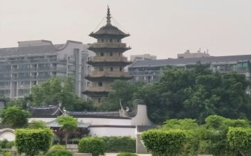 《乌塔》读后感作文5篇