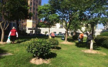 2024年物业小区年终工作总结模板5篇