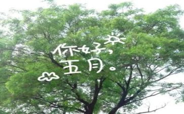幼儿园五月份工作计划通用5篇