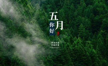 五月份销售工作计划8篇