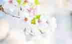 小班幼儿五月份工作总结8篇