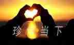 珍惜当下的演讲稿5篇