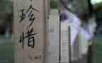 珍惜的演讲稿500字7篇