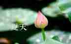 写夏天的雨作文500字6篇