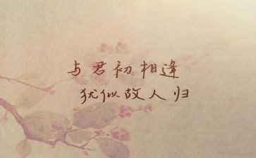 一次相逢作文优质6篇