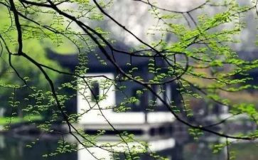 想起你作文600字8篇