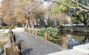 策划校内活动方案5篇