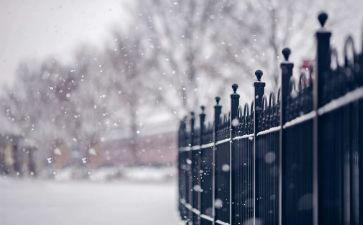 写冬天下雪的作文7篇