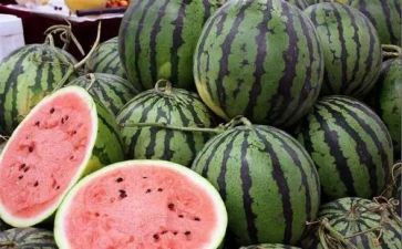 做西瓜糖作文推荐5篇