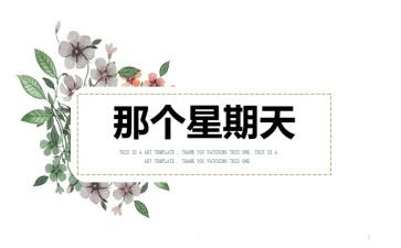 英语写星期天的作文5篇