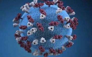 关于新冠疫情的作文5篇