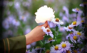 心声作文优秀8篇