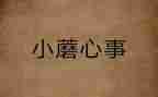 关于心事的作文5篇