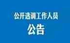 选调生入基层心得体会范文5篇
