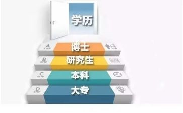 学历史的心得体会最新7篇