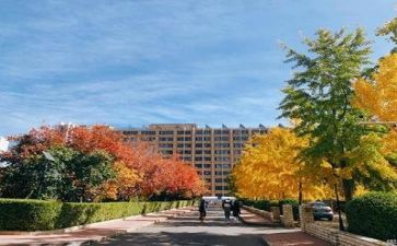 学校专项工作总结最新8篇