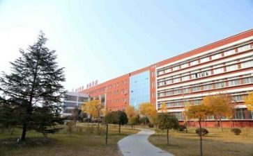 学校教师年终总结最新5篇