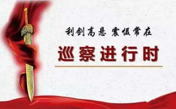 被巡察工作总结最新8篇
