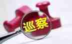 被巡察工作总结8篇