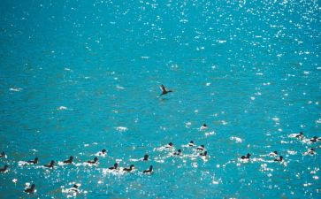 关于言与行高中作文推荐8篇