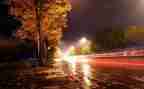 雨夜的猫读后感7篇