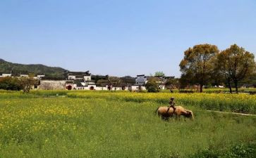 那件事让我印象深刻作文8篇