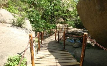 游览七子园的心得体会作文8篇