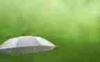 观雨作文200字通用5篇