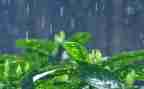 下雨时的作文6篇