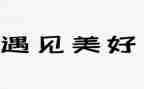 遇见树的读后感最新8篇