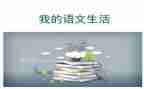 我和语文的作文8篇