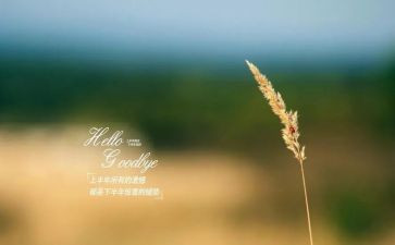 与童年说再见作文8篇