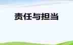 局主体责任述职报告7篇