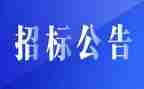 招标代理年度工作总结5篇