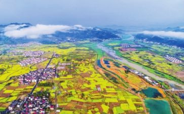 科技助力乡村振兴调研报告8篇
