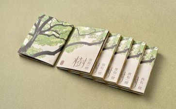 水的哲学读后感5篇
