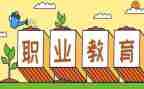 新入职教师心得体会范文5篇