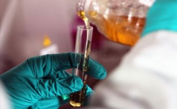 质量师工作总结最新6篇