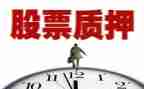 股权质押借款合同6篇
