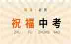 迎中考读后感8篇