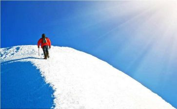 追寻幸福作文7篇