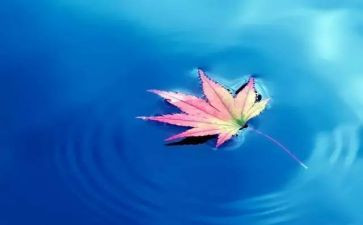 环保大自然的作文6篇