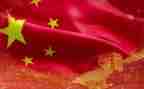 窝和我的祖国心得体会5篇